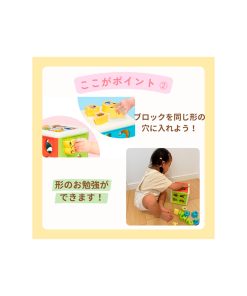 Alternative view of Pokemon Toroyal Monpoke Dice Puzzle Niños Japon