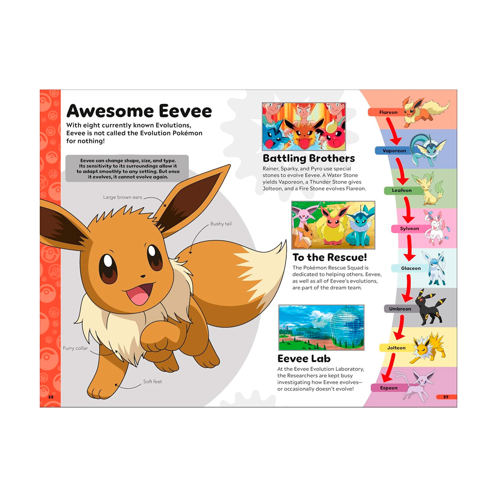 Pokemon Book of Evolutions Exclusivo - Imagen 5